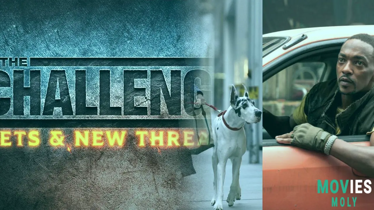 August 2025 Streaming Guide: New Movies, TV Shows, and Must-See Picks image 5