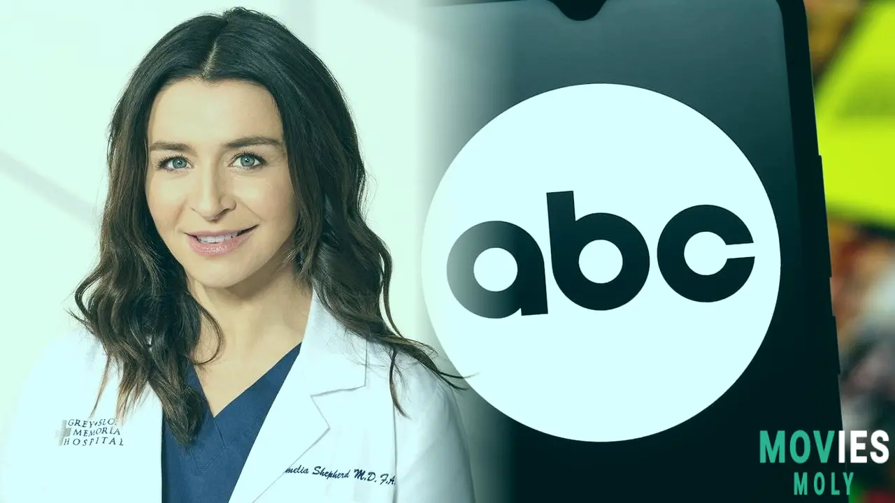 Dr. Amelia Shepherd is Scrubbing Out: When Will She Return to Grey's Anatomy? Main Image