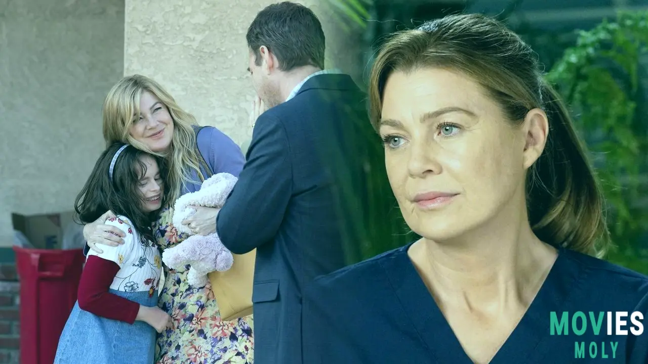 From Grey's Anatomy to True Crime: Ellen Pompeo's Gripping New Role in 'Good American Family' on Hulu image 3