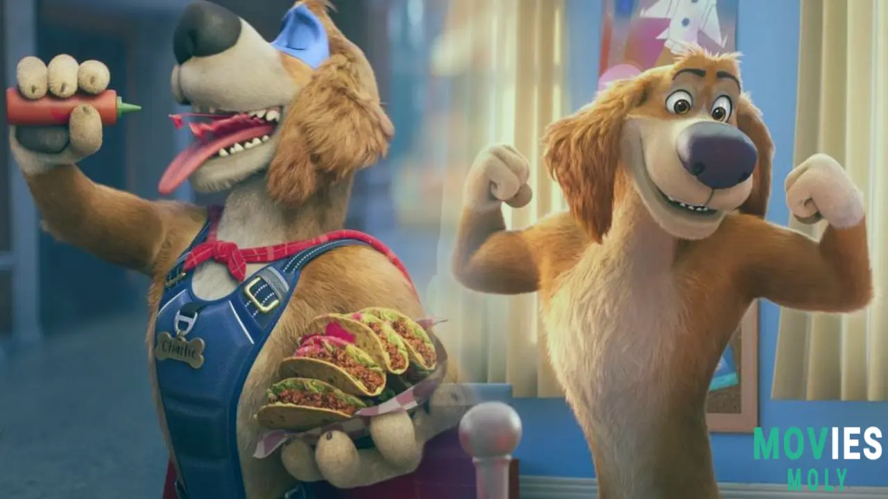 Get Ready to Bark! Owen Wilson's Super-Powered 'Charlie the Wonderdog' Lands in Theaters image 4
