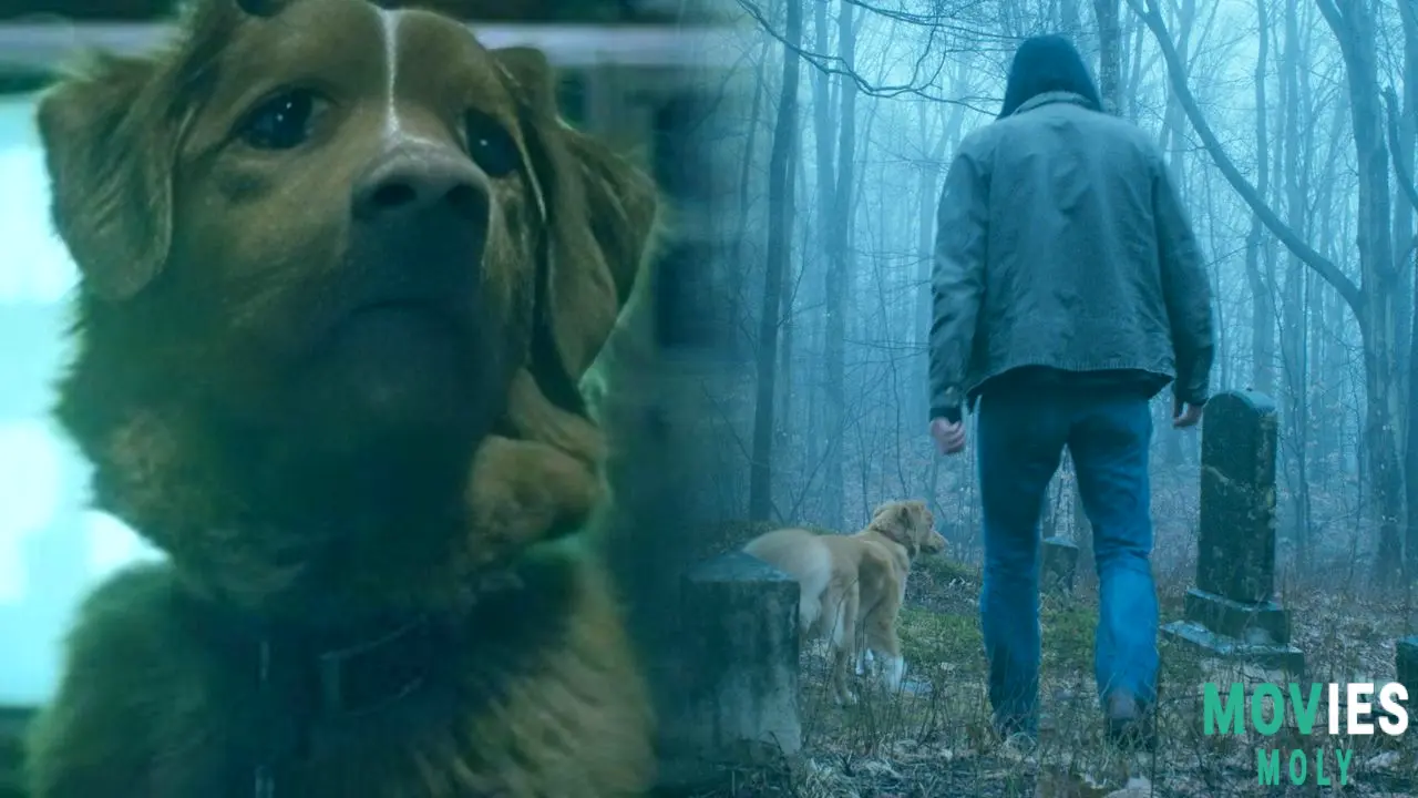 Good Boy: The Dog's-Eye-View Horror Hit Lands on Shudder! image 3