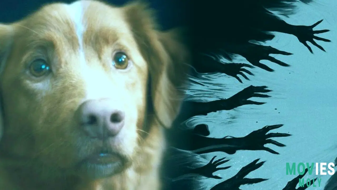 Good Boy: The Loyal Pup's Heart-Wrenching Horror Is Now Unleashed on VOD image 5