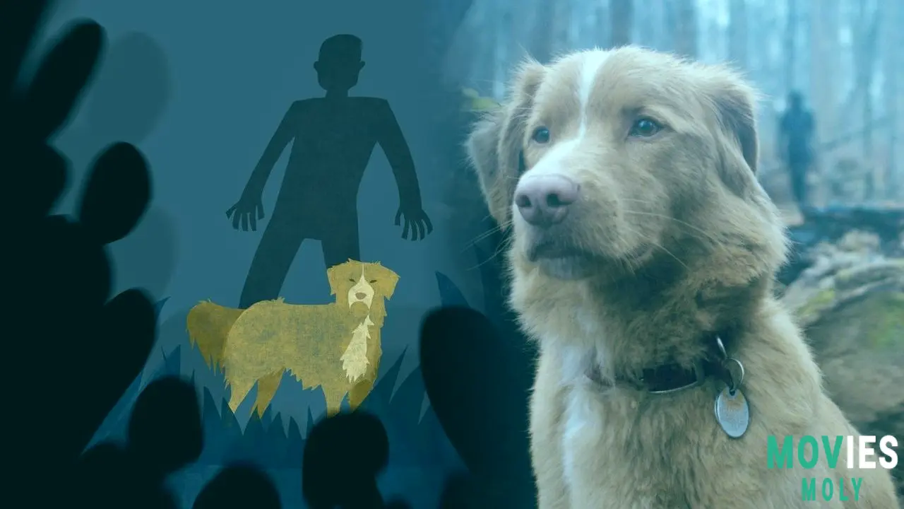 "Good Boy" Unleashes Its Canine-Led Horror on Shudder: What You Need to Know image 5