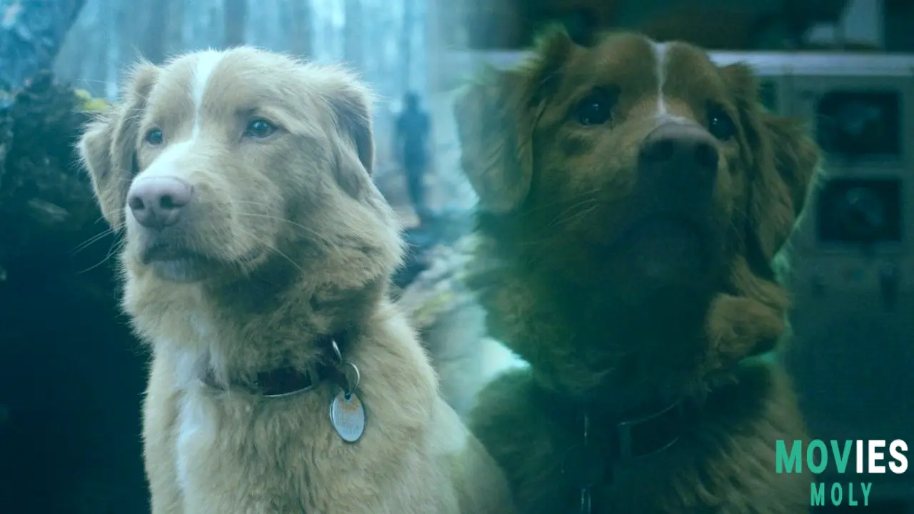 "Good Boy" Unleashes Its Canine-Led Horror on Shudder: What You Need to Know image 6