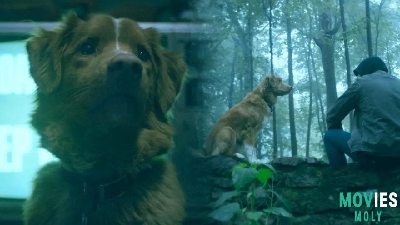 "Good Boy" Unleashes Its Canine-Led Horror on Shudder: What You Need to Know image 7