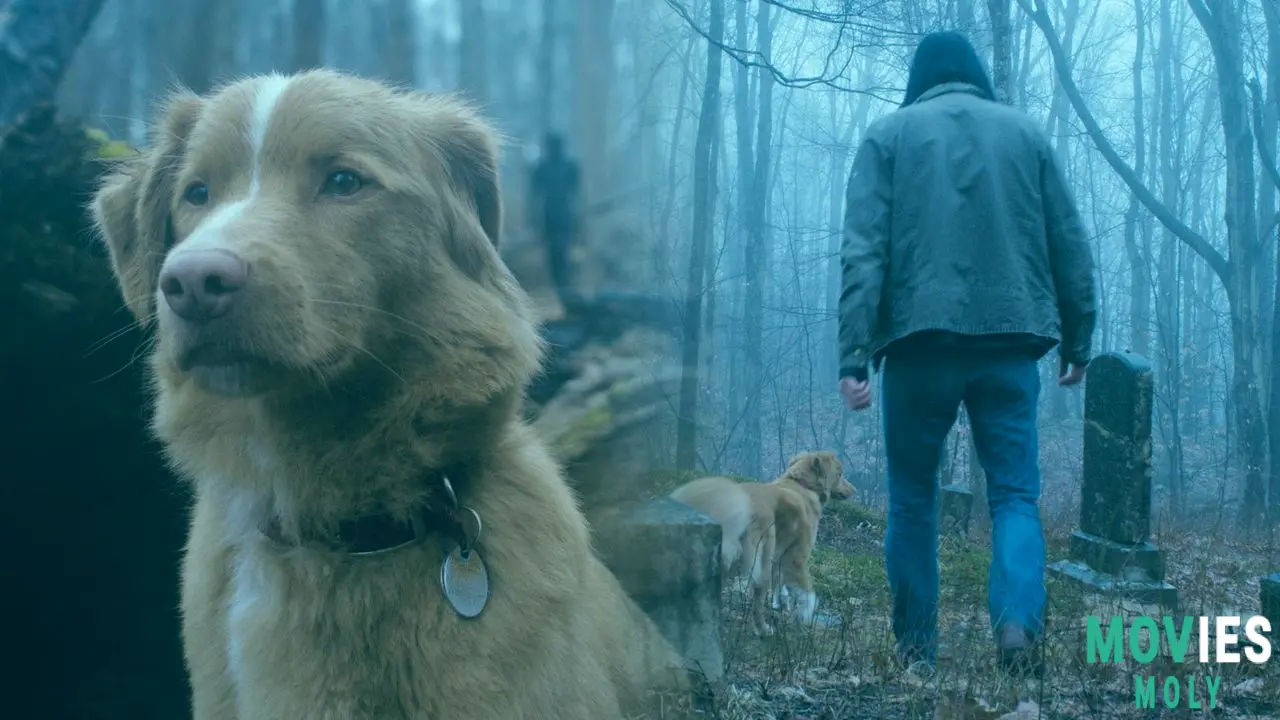 "Good Boy" Unleashes Its Canine-Led Horror on Shudder: What You Need to Know Main Image