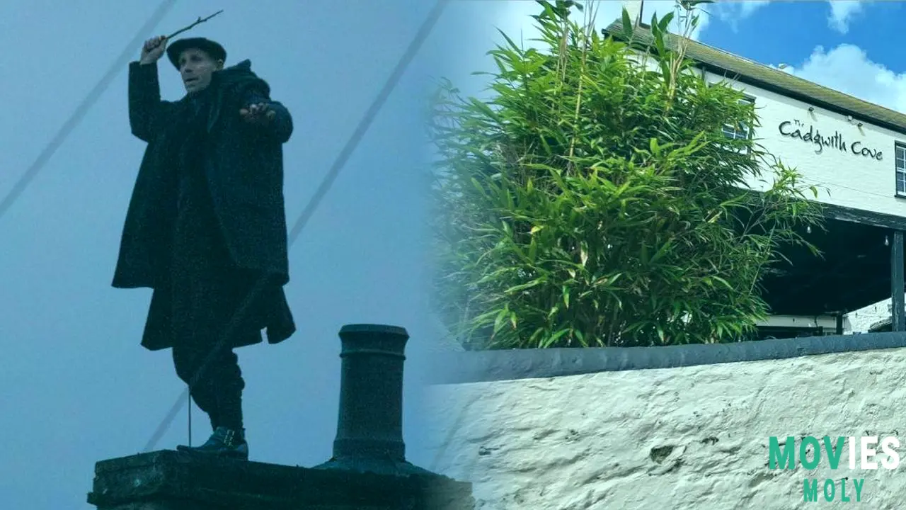 Harry Potter TV Series: Cast, Filming Locations, & Release Details Emerge! image 4