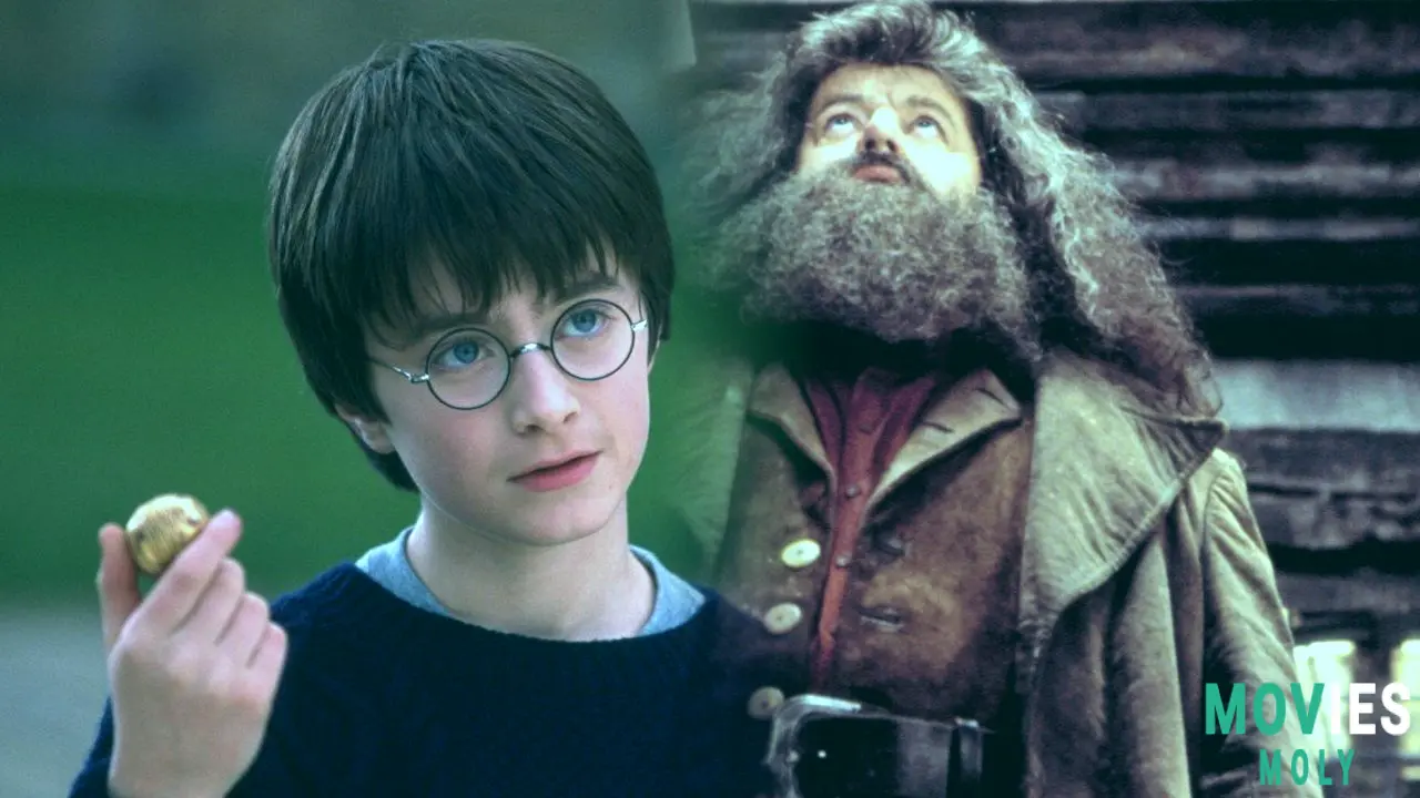 HBO's Harry Potter: Unpacking All the Magical New Details & Cast Updates! Main Image