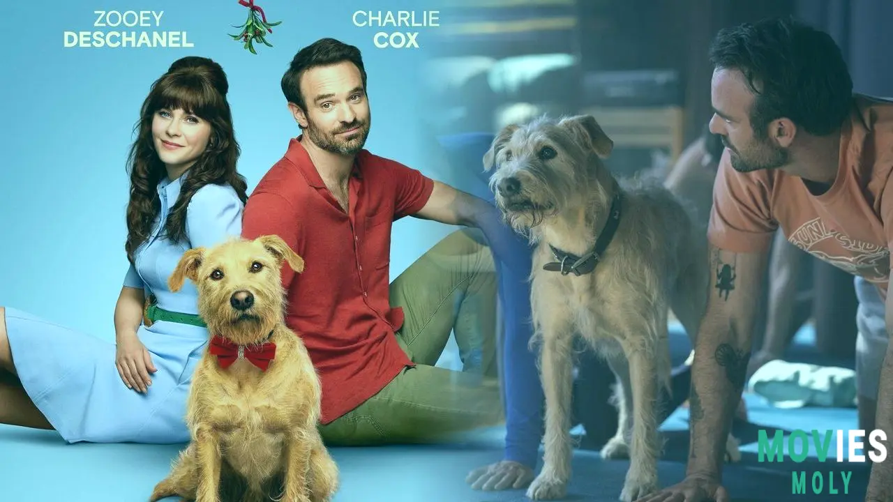 "Merv" Movie Unites Rom-Com Favorites Zooey Deschanel and Charlie Cox Over a Canine Crisis image 4