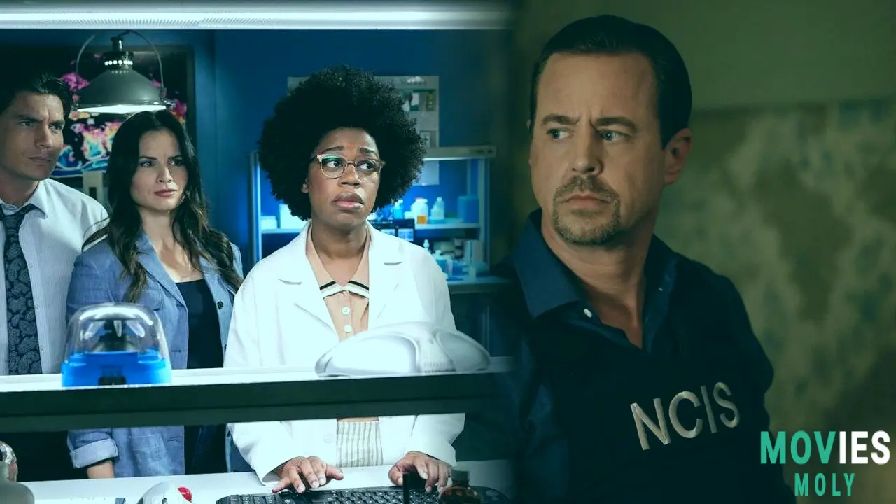 NCIS "Gone Girls" Recap: Thom E. Gemcity Returns & Tony's Desk Gets an Update image 4