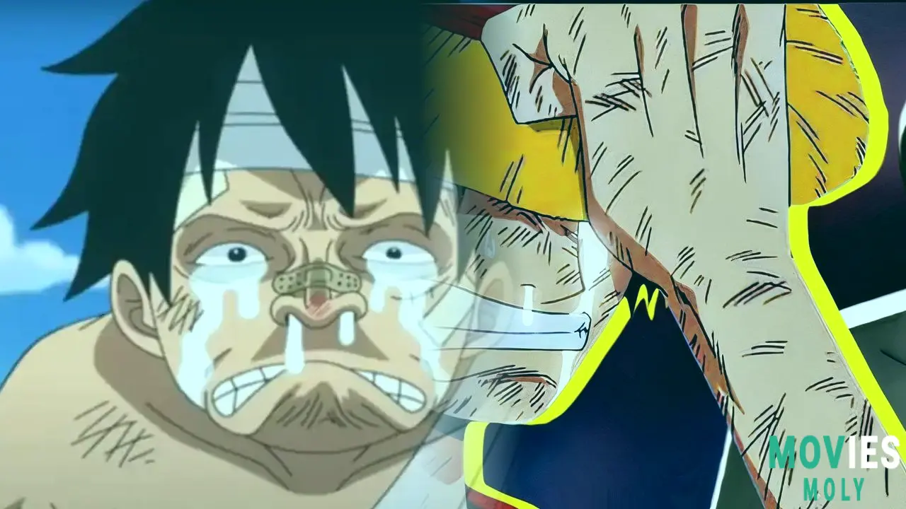 One Piece Anime Goes Seasonal: Less Episodes, Better Pacing Ahead Main Image