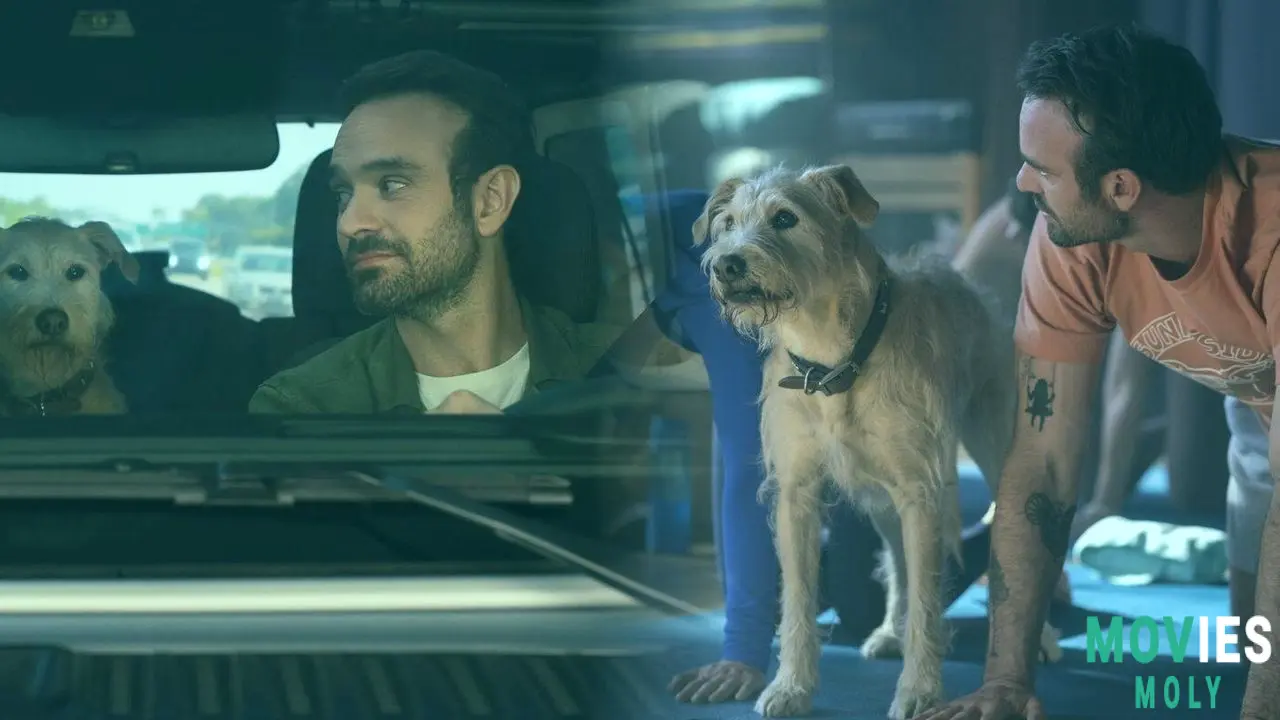 When a Breakup Breaks the Dog: Everything You Need to Know About 'Merv' image 6