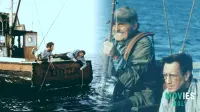 Jaws Celebrates fifty Years: How Classic Film Made by Spielberg Still Creates Waves