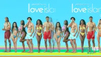 Love Island USA Season 6 Winners and Favorite Islanders: Where Are They Now and What's Next?