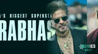 Prabhas's 'Spirit' Teaser Ignites Superstar Debate and Franchise Buzz!