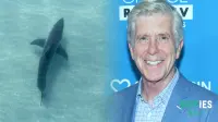The Complete Guide to Shark Week 2025: Schedule, Streaming, and Shows
