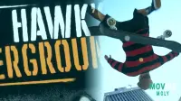 Tony Hawk Is Still Pushing For An Underground Remaster