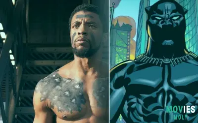 Black Panther: Potential T'Challa Recast, Costume Changes and Wakanda's Future in MCU