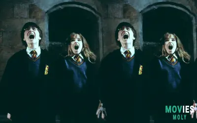 Get Ready to Return to Hogwarts: Harry Potter and the Sorcerer's Stone Returns to Theaters for 25th Anniversary!