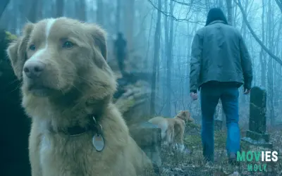 "Good Boy" Unleashes Its Canine-Led Horror on Shudder: What You Need to Know