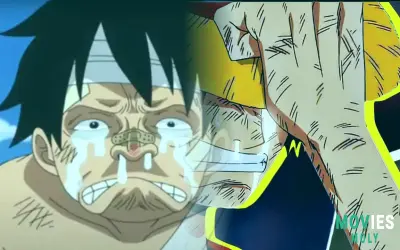 One Piece Anime Goes Seasonal: Less Episodes, Better Pacing Ahead