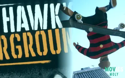 Tony Hawk Is Still Pushing For An Underground Remaster