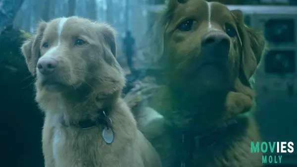 Good Boy: The Dog's-Eye-View Horror Hit Lands on Shudder!