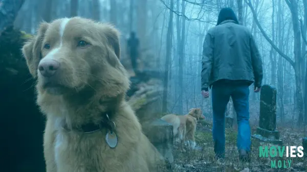 "Good Boy" Unleashes Its Canine-Led Horror on Shudder: What You Need to Know