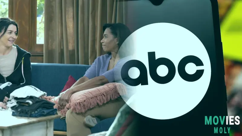 Dr. Amelia Shepherd Takes a Sabbatical: When Will She Be Back on Grey's Anatomy?