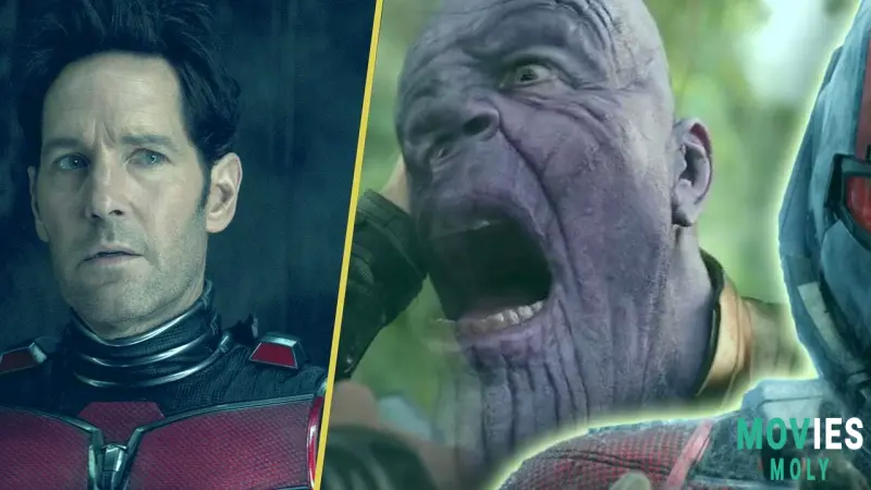 Is 'Thanus' Still on Paul Rudd's Mind? Ant-Man Star Jokes About Wild Fan Theory (Again!) image 3